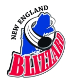 Mhg-078-l_blizzard_logo