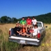 Boysofsummer_thumb