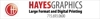 Hayes_graphice_blue_line_club_element_view
