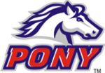 Pony_100h_small