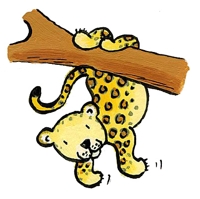 Tiger_medium
