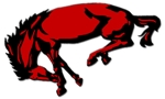 Bronco2_small